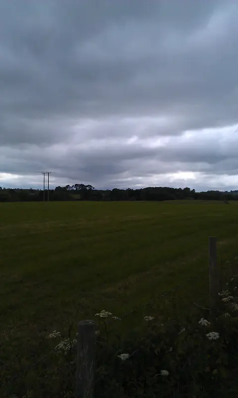 June 2011