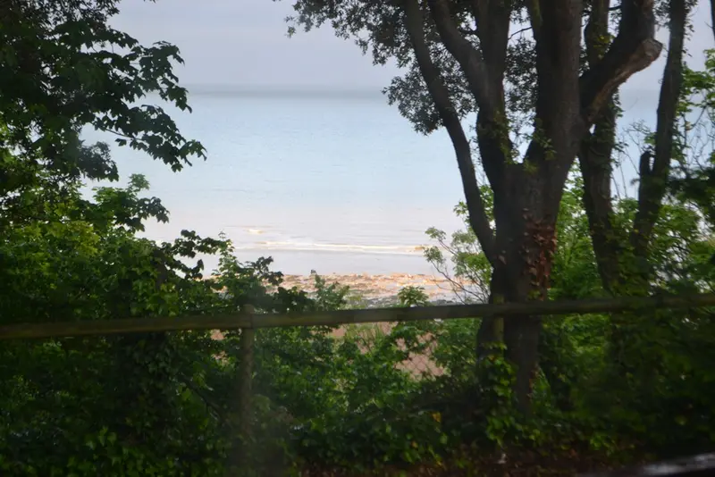 View from Adam's back door`