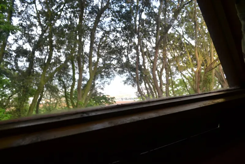 View from Neil & Laura's room