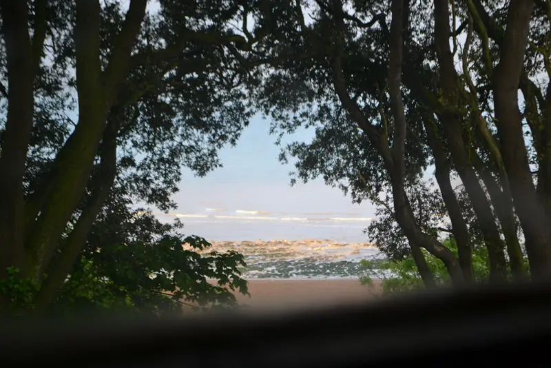 View from Neil & Laura's room