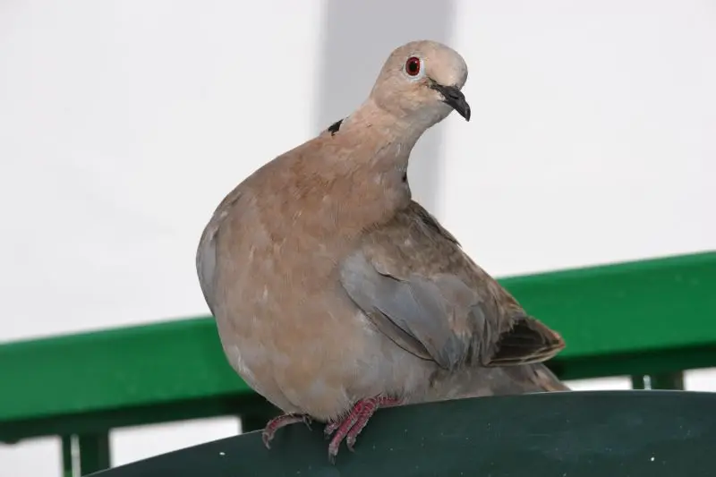 August 2013