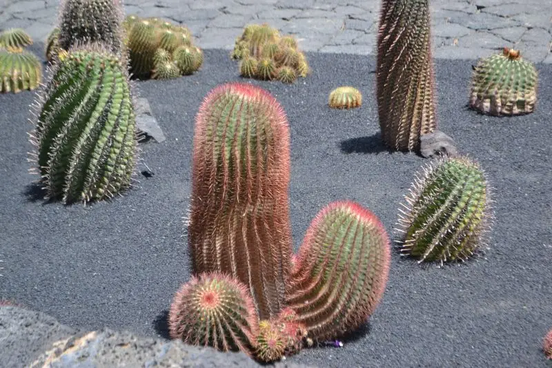 August 2013