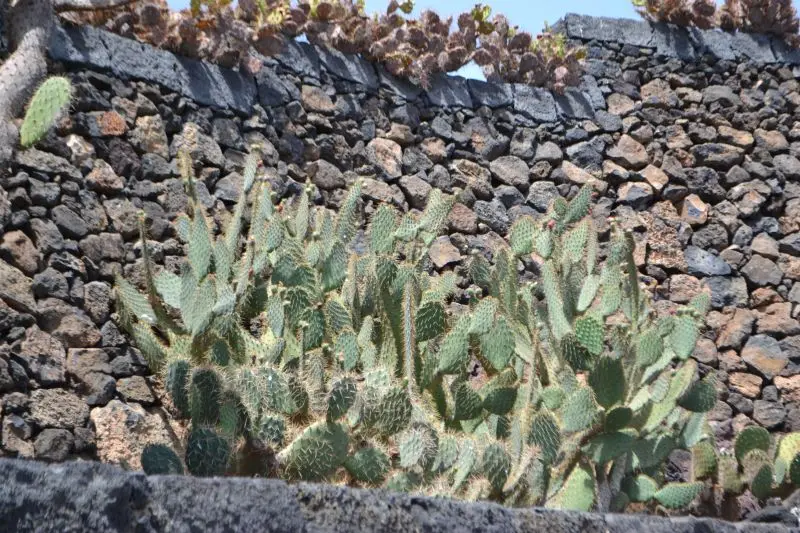 August 2013