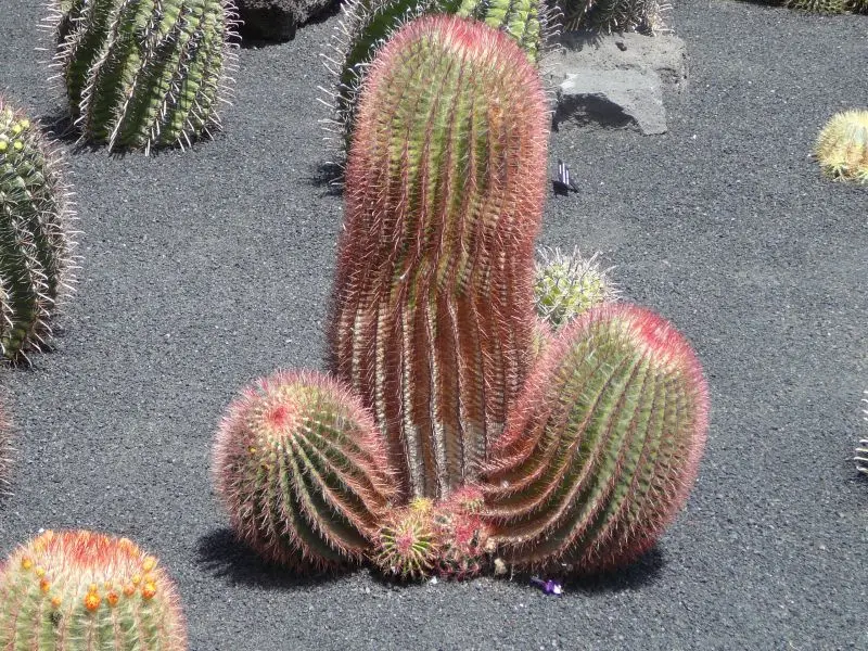 August 2013