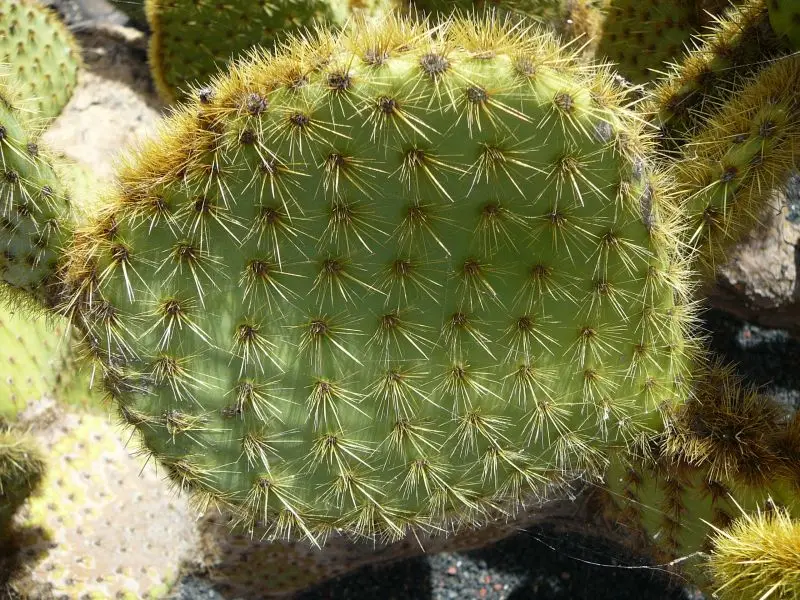 August 2013