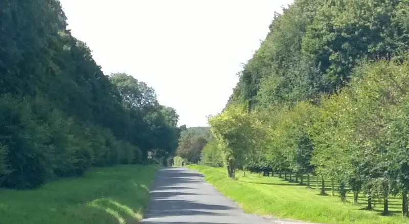 August 2014