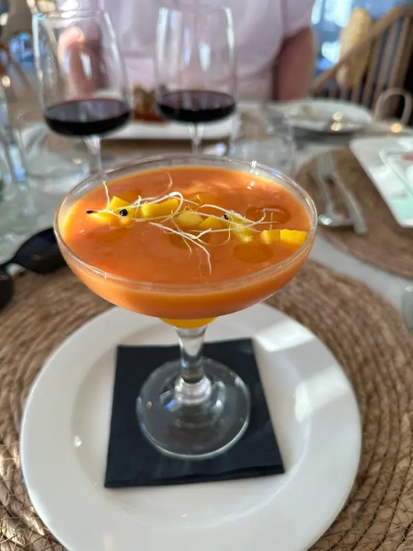 Laura’s Starter - Mango Salmoejo